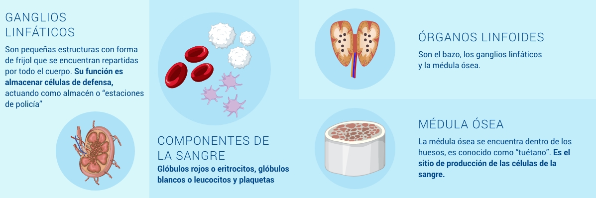 hematologia-coi-infografia