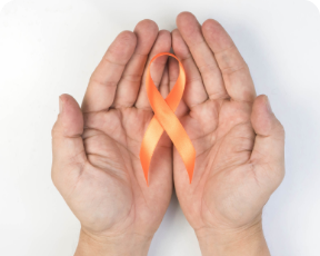 tipos-de-cancer-catalogo-cancer-rinon