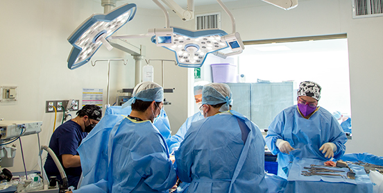 cirugia-oncologica-equipo-multi-img1